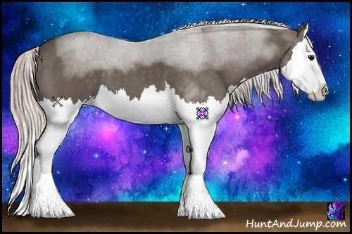 Horse Color:Silver Black Splash
