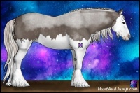 Horse Color:Silver Black Splash 