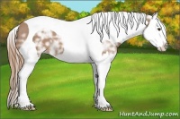Horse Color:Chestnut Ice Splash Tobiano 