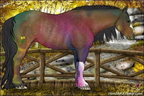 Horse Color:Bay Rabicano