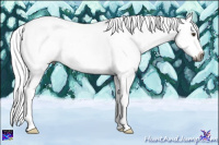 Horse Color:Gray Palomino Ice Roan Splash 