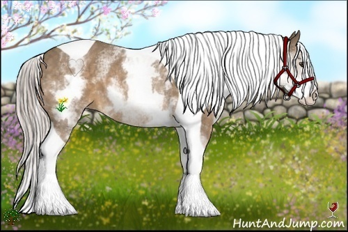 Horse Color:White Spotted Chocolate Palomino Splash Tobiano 