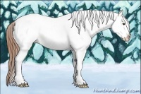 Horse Color:White Spotted Red Dun Roan 