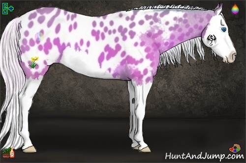 Horse Color:Watercolor Silver Brown Splash Appaloosa 