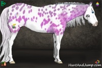 Horse Color:Watercolor Silver Brown Splash Near Leopard
