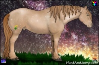 Horse Color:Chestnut Pearl
