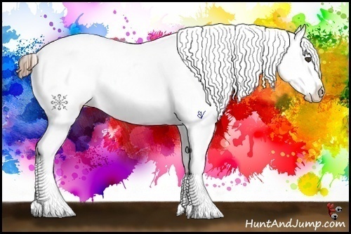 Horse Color:Buckskin Roan Appaloosa 