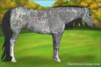 Horse Color:Black Ice 
