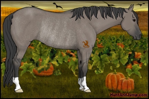 Horse Color:Grullo Rabicano 