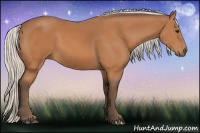 Horse Color:Silver Bay