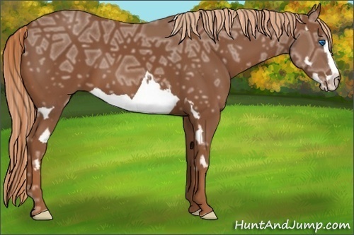 Horse Color:Chestnut Ice Splash Frame 