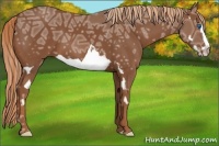 Horse Color:Chestnut Ice Splash Frame