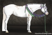 Horse Color:Palomino Sabino