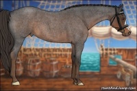 Horse Color:Liver Red Roan 