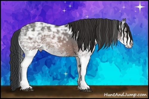 Horse Color:White Spotted Brown Ice Sabino Rabicano 