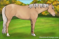 Horse Color:Silver Sable Champagne 