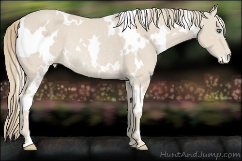 Horse Color:White Spotted Smoky Creme Frame Rabicano 