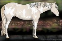 Horse Color:White Spotted Smoky Creme Frame Rabicano