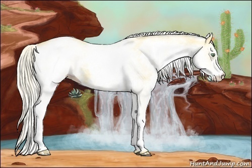 Horse Color:White Spotted Gold Cream Champagne 