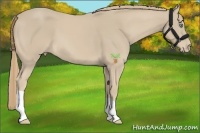 Horse Color:Smoky Creme 