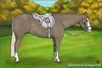 Horse Color:Silver Smoky Black Splash