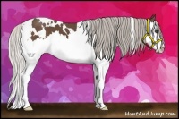 Horse Color:White Spotted Silver Black Splash