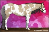 Horse Color:White Spotted Classic Champagne Dun Sabino Rabicano