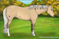 Horse Color:Silver Buckskin 