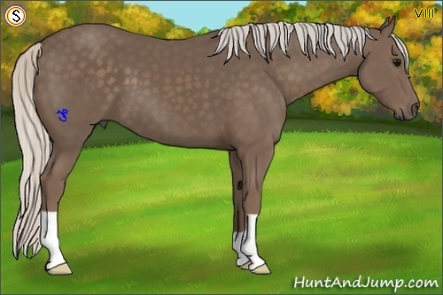 Horse Color:Silver Black 