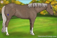 Horse Color:Silver Black 
