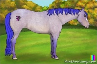 Horse Color:Watercolor Amber Champagne Roan