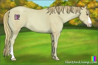 Horse Color:Watercolor Gold Champagne