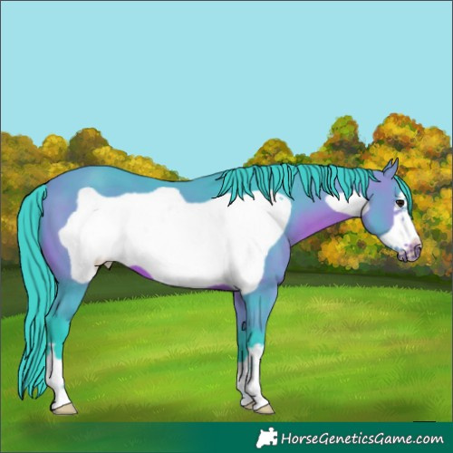 Horse Color:Watercolor Bay Frame