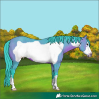 Horse Color:Watercolor Bay Frame