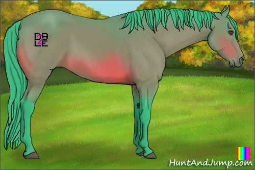 Horse Color:Watercolor Bay 