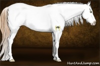 Horse Color:Gold Champagne Roan Dun Near Leopard 