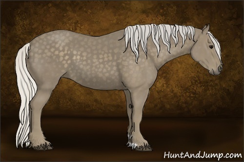 Horse Color:Silver Smoky Black 