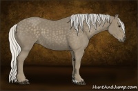 Horse Color:Silver Smoky Black 