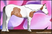 Horse Color:Bay Ice Splash Tobiano Rabicano