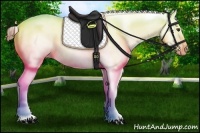 Horse Color:Chestnut Tobiano Varnish 