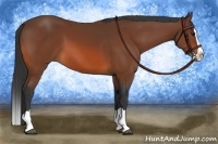 Horse Color:Bay Splash 