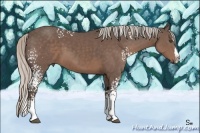 Horse Color:White Spotted Silver Black Sabino Splash