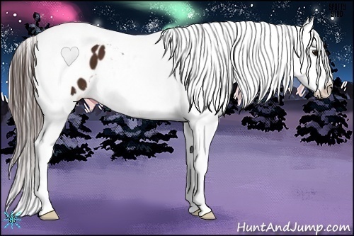 Horse Color:Bay Tobiano Snowflake Varnish