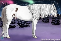 Horse Color:Bay Tobiano Snowflake Varnish