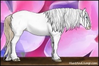 Horse Color:Red Dun Splash Varnish