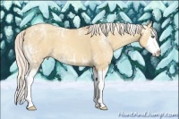 Horse Color:White Spotted Silver Classic Champagne Ice Dun Sabino Splash 