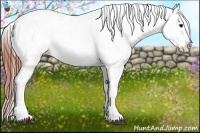 Horse Color:Brown Appaloosa