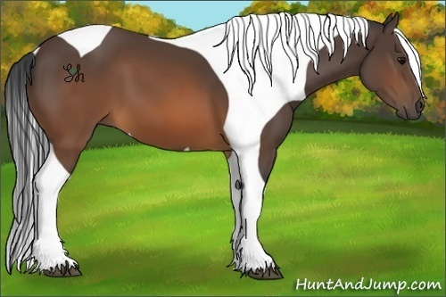 Horse Color:Brown Tobiano 