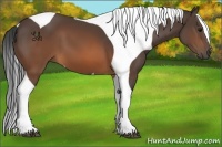 Horse Color:Brown Tobiano 