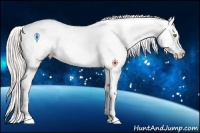 Horse Color:Silver Amber Champagne Ice Roan Dun Splash Tobiano Appaloosa Rabicano 
